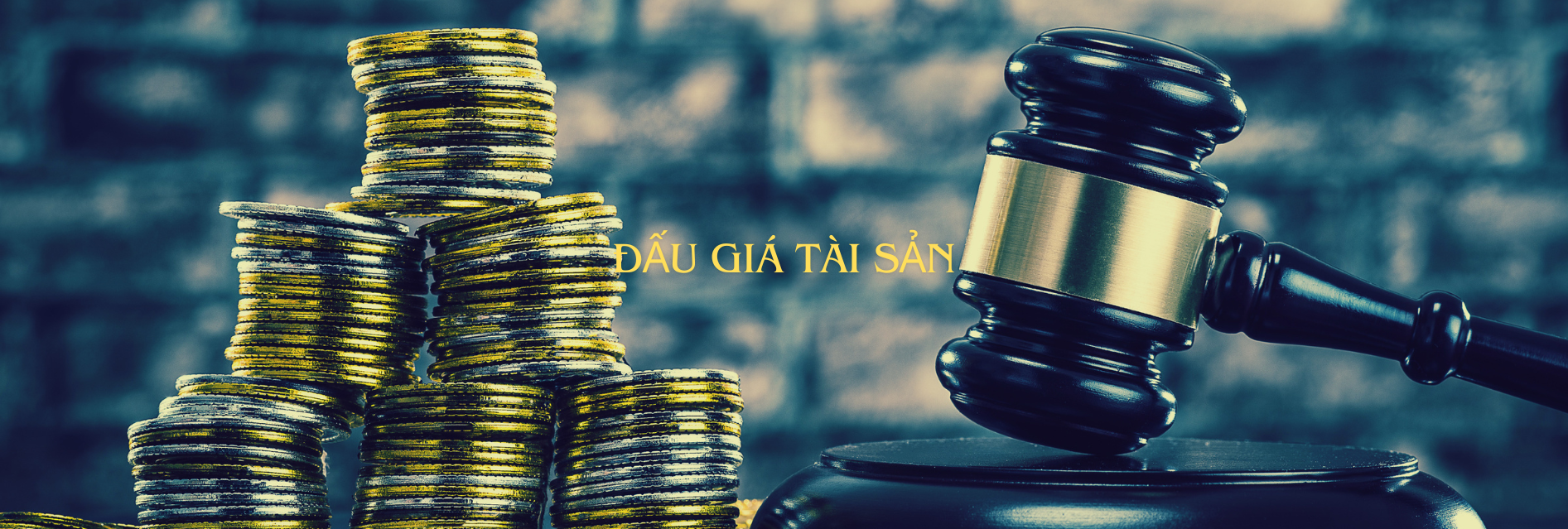DAU GIA TAI SAN