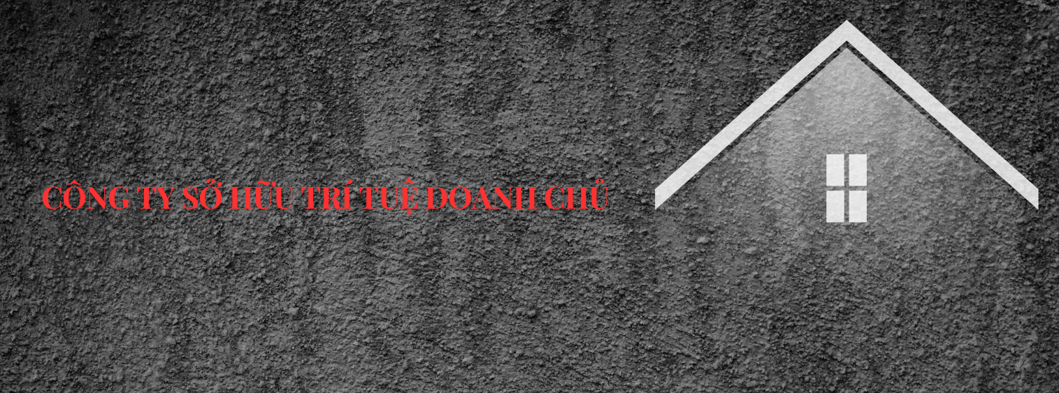 SO HUU TRI TUE DOANH CHU